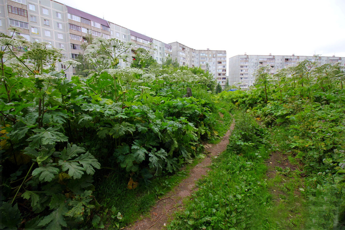 �� �� ��� ����� ������ ������� ������������� ��������: �� ��������� ��������-���� ���� ��������� ���������. � ��� ����� ������.