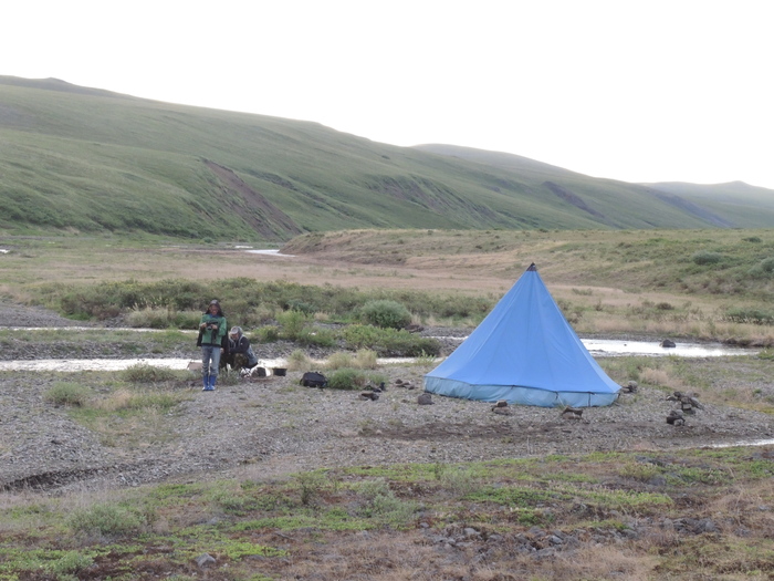 Лагерь сотрудников Ботанического музея БИН РАН на Чукотке.