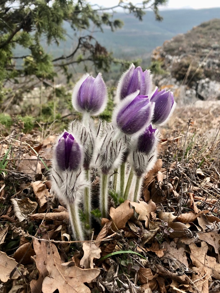 ���� ����� ��������.