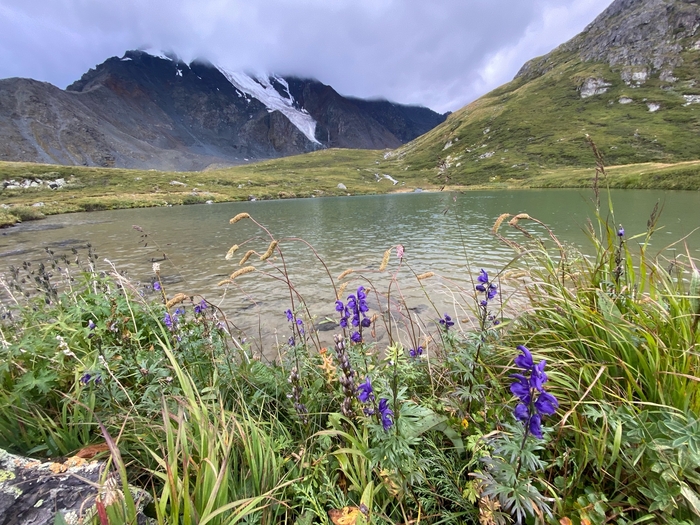 ����������