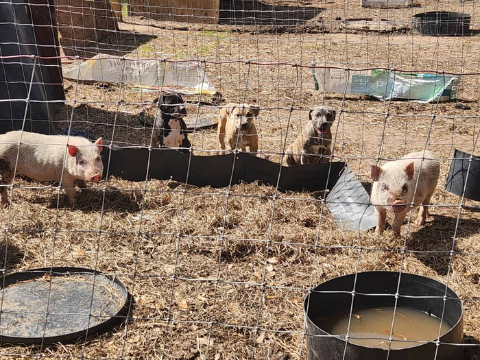 ��� ���� ��������?