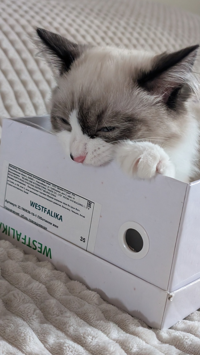 ������ ���������� ������ � ���������� ���������� ������� � �����������