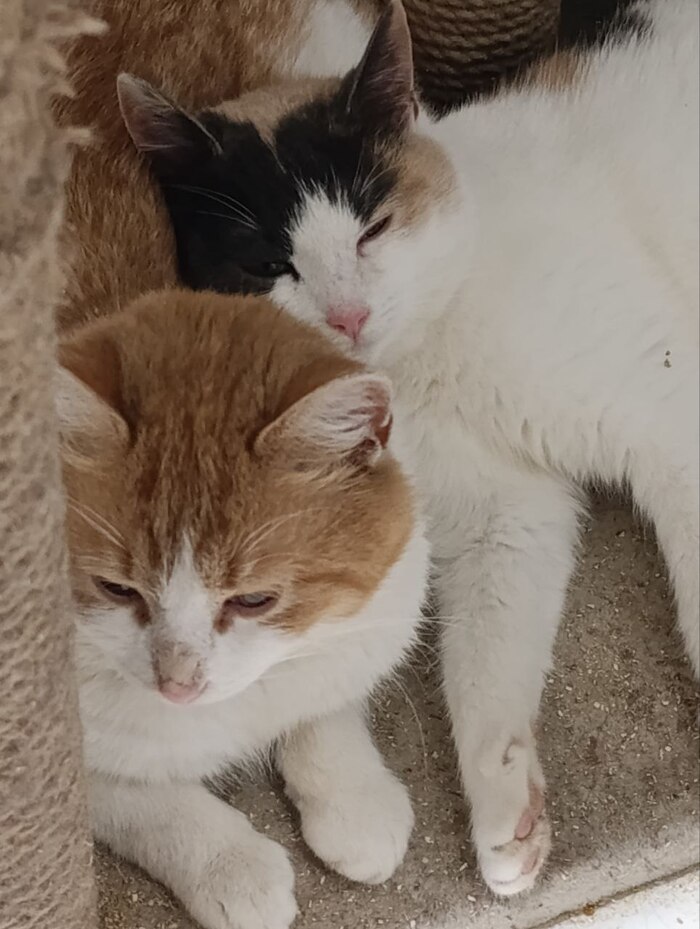 ������ � ������