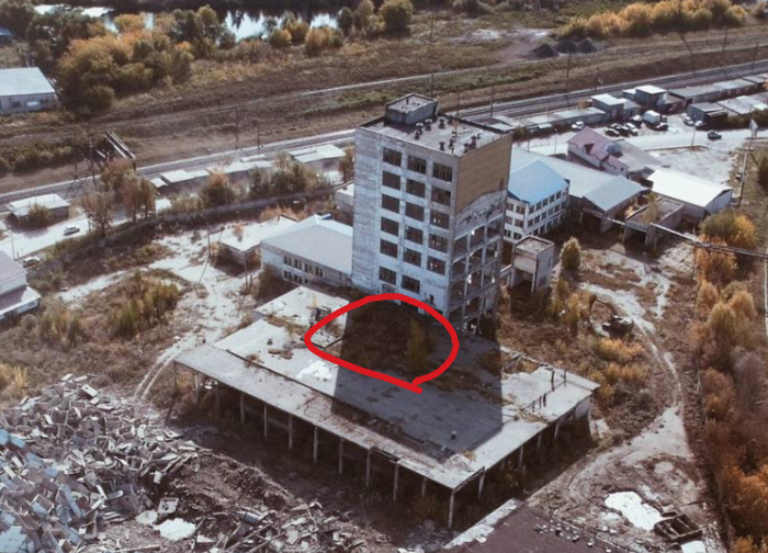 ���� ���� ������