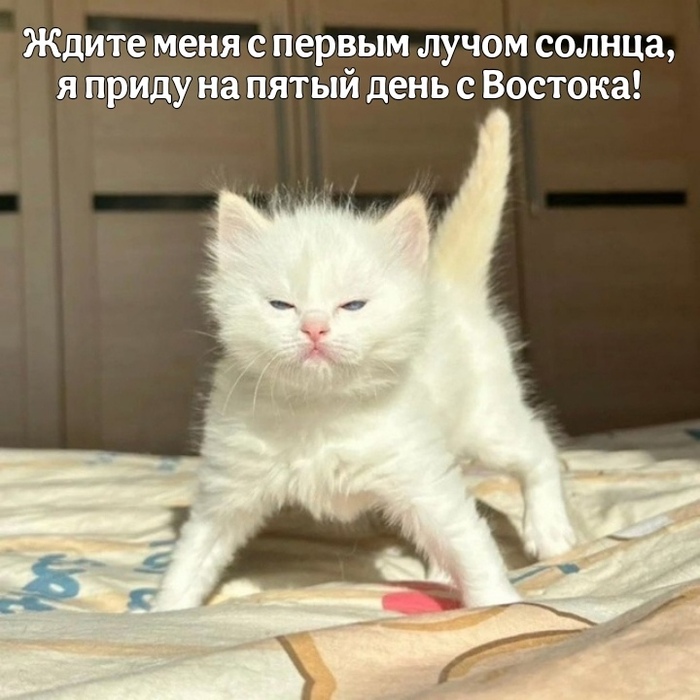 �������� �����