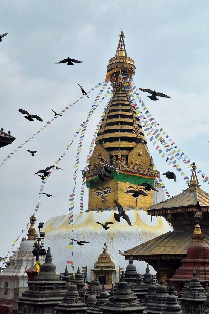 ���������� ���� ����������� �� ����� ������� ����� ��������.