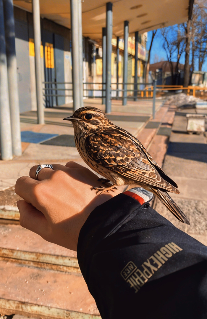 Антон Курдюмов фотограф в Хабаровске