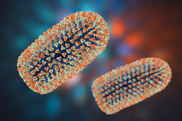 ������ ���������� �������� �� ��������� � ���������� �������?