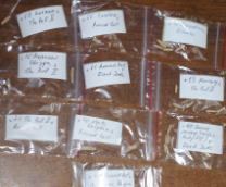 ����� ����� ��������