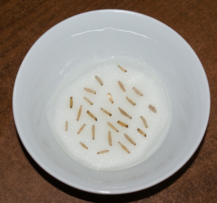 - ��������