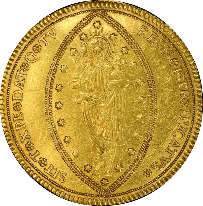 �� ������� ������ ������ � ������ ����, ���������� ����� � �������, � �������, ���������� ������� � ��������. ������� �� ��������� SIT · T · XPE · DAT · Q · TV REGIS · ISTE · DVCATVS ·