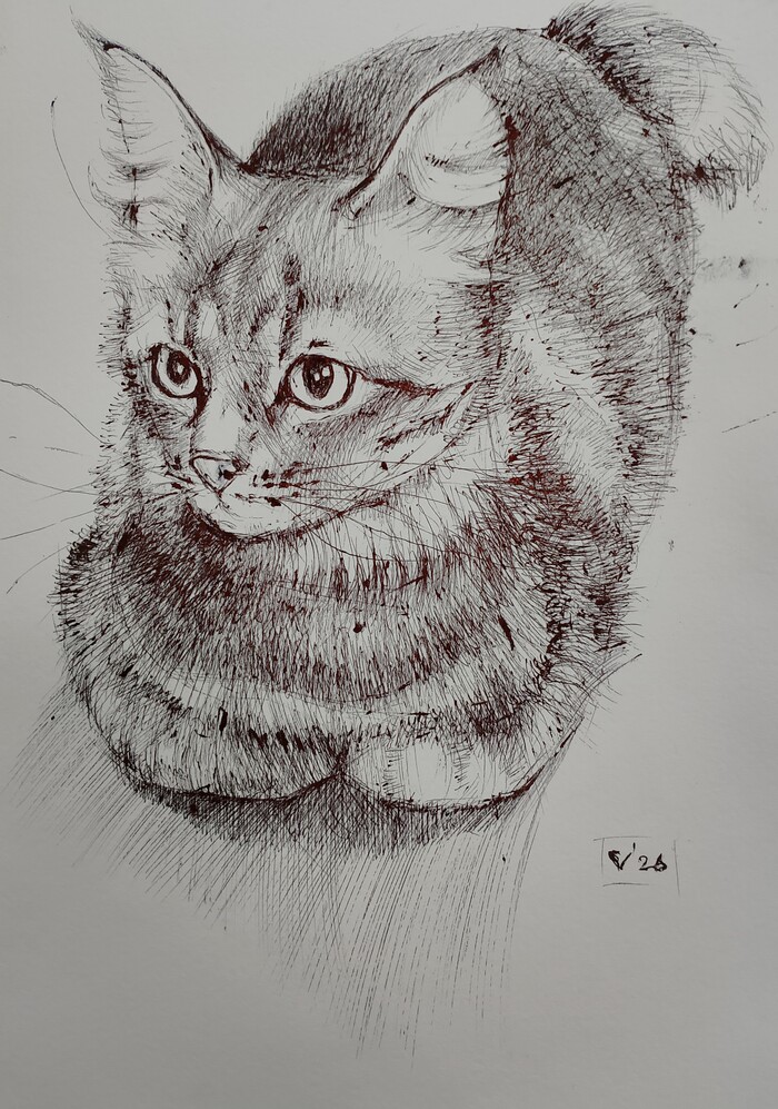 �������