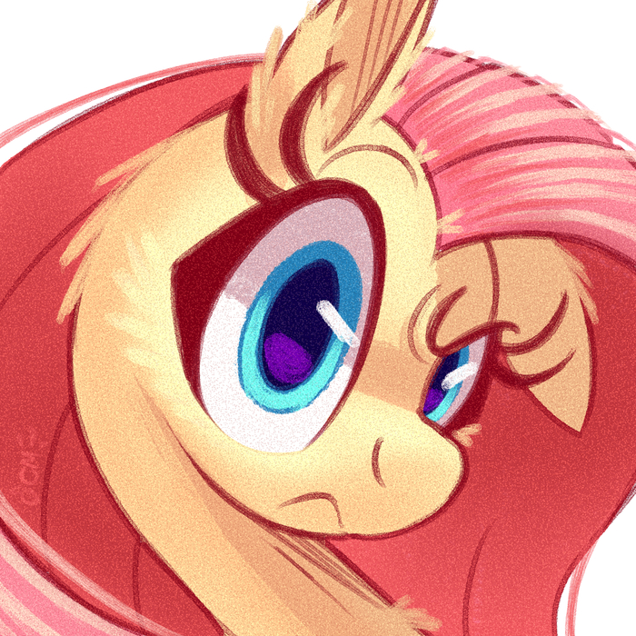 ��� �����