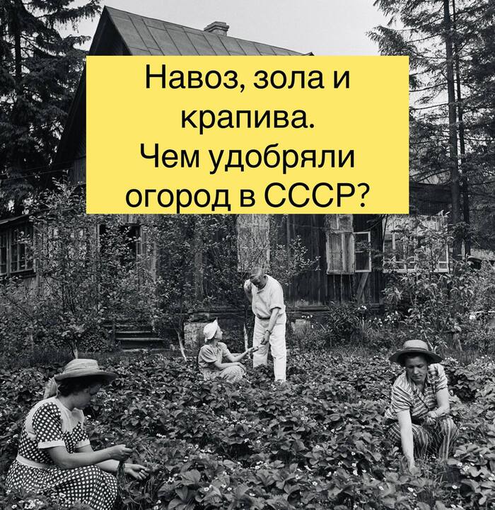 �����, ���� � �������: ��� �������� ������� � ����, ����� �� ���� ������� ���������