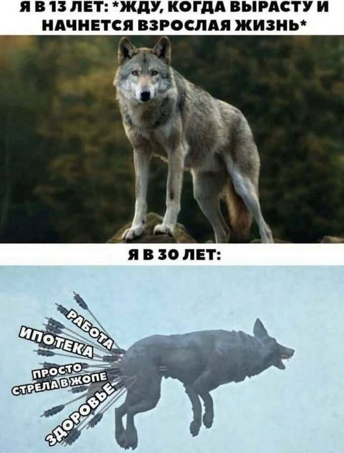 �������� �����