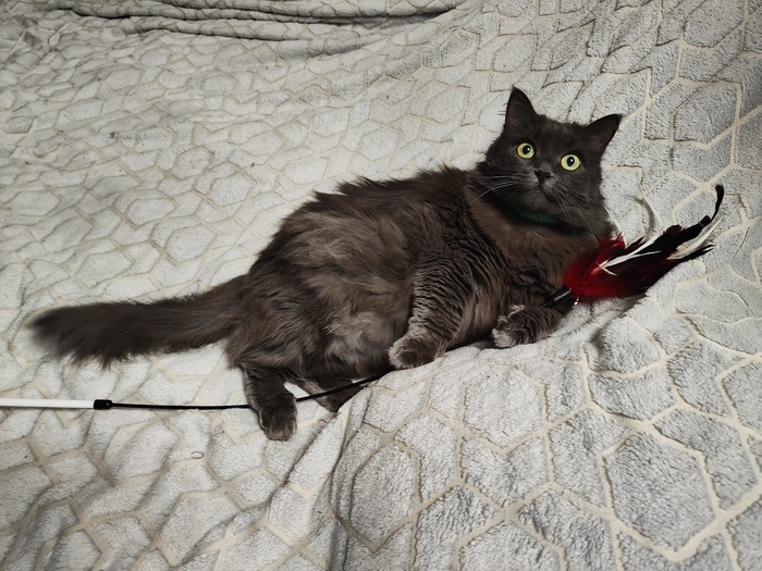 � �����-�����-���������