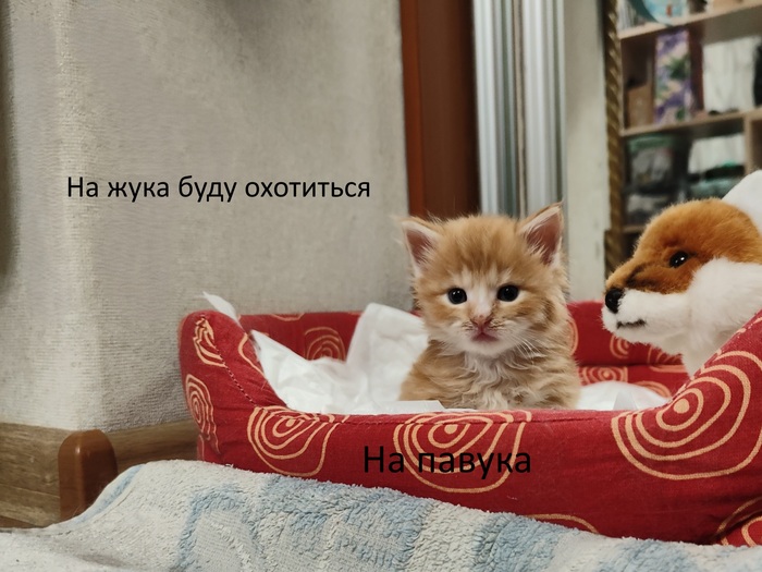 �� ���������� ����� ����-���� � ������-����.