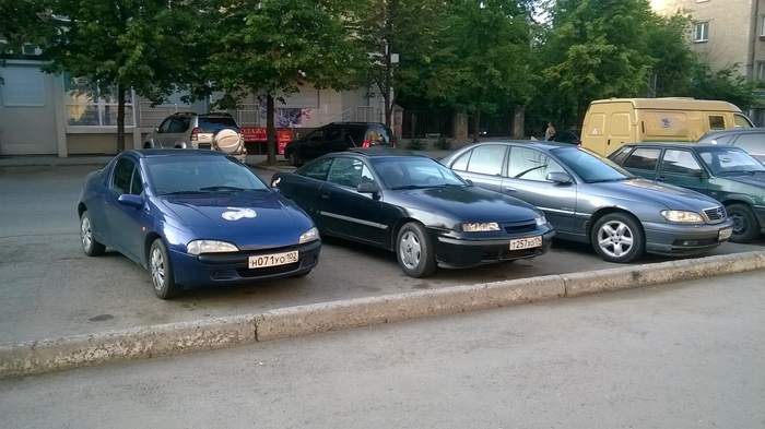 �����, �������, �����