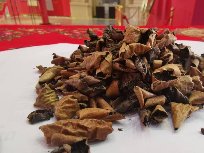 ���� ����������. ����� �������� �����