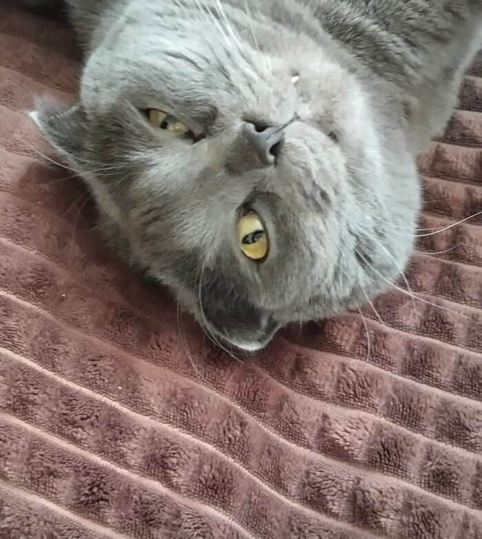 ����� �� ���� ����������