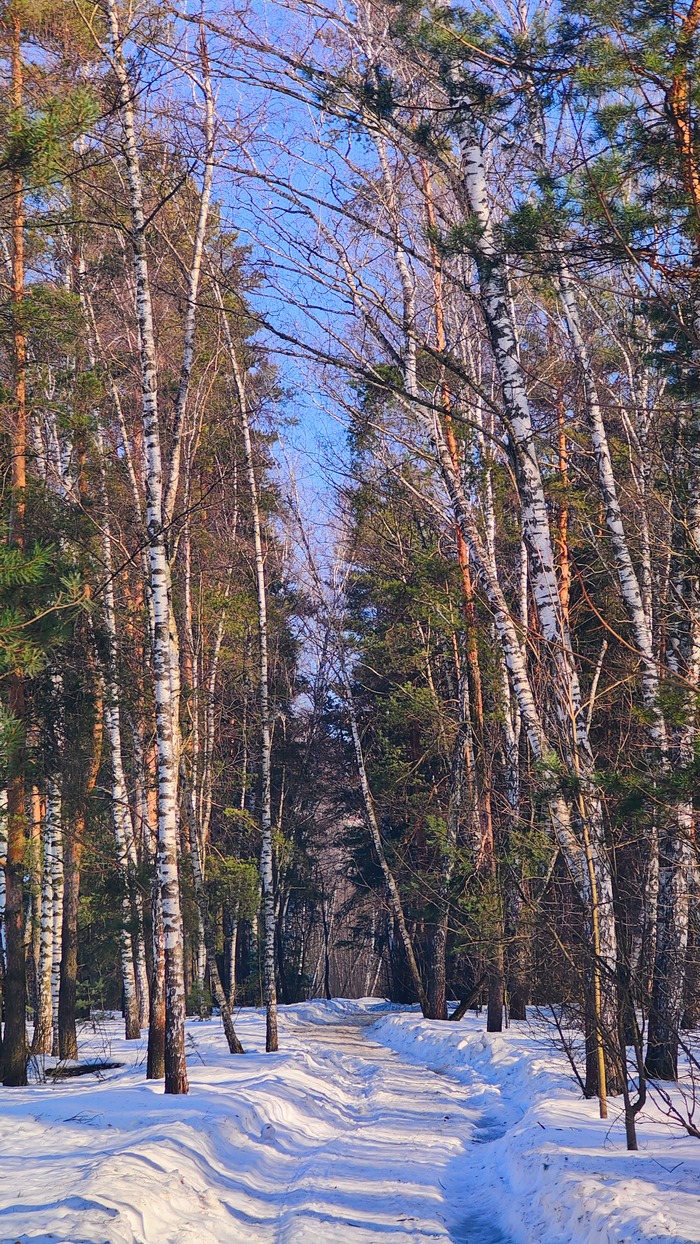 это отдельная часть парка, за ЛЭП ближе к военному городку