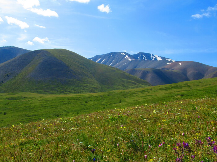 ����� � �����