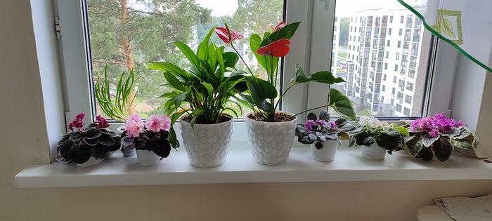 ������ �������. ������ � ���� ������������� �����������)