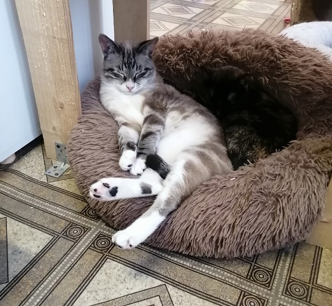 �������. ��� ���� - ������� � ������ �� ��� =) �� �� �����!