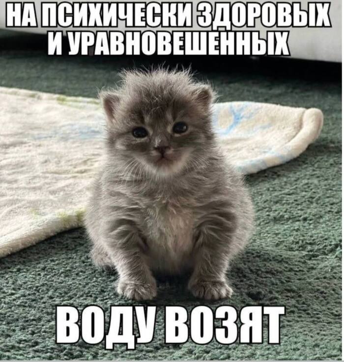 �������, � �� �����