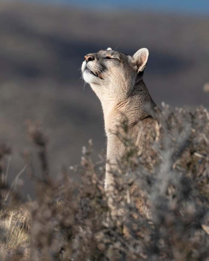 ������ ���������� ������� ����� � ������������ � ��������