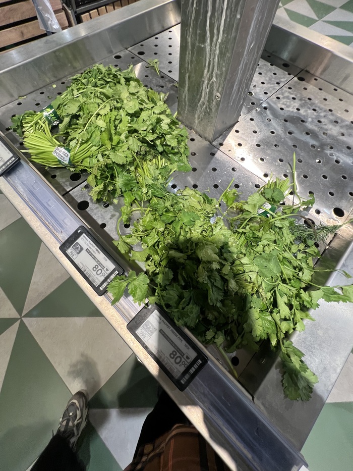 ������ ������������� ��������� ����� ������