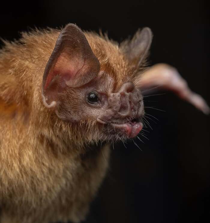 ������������ ������