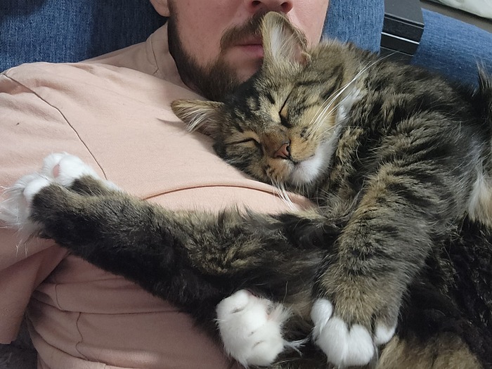 ���������� ������� #231