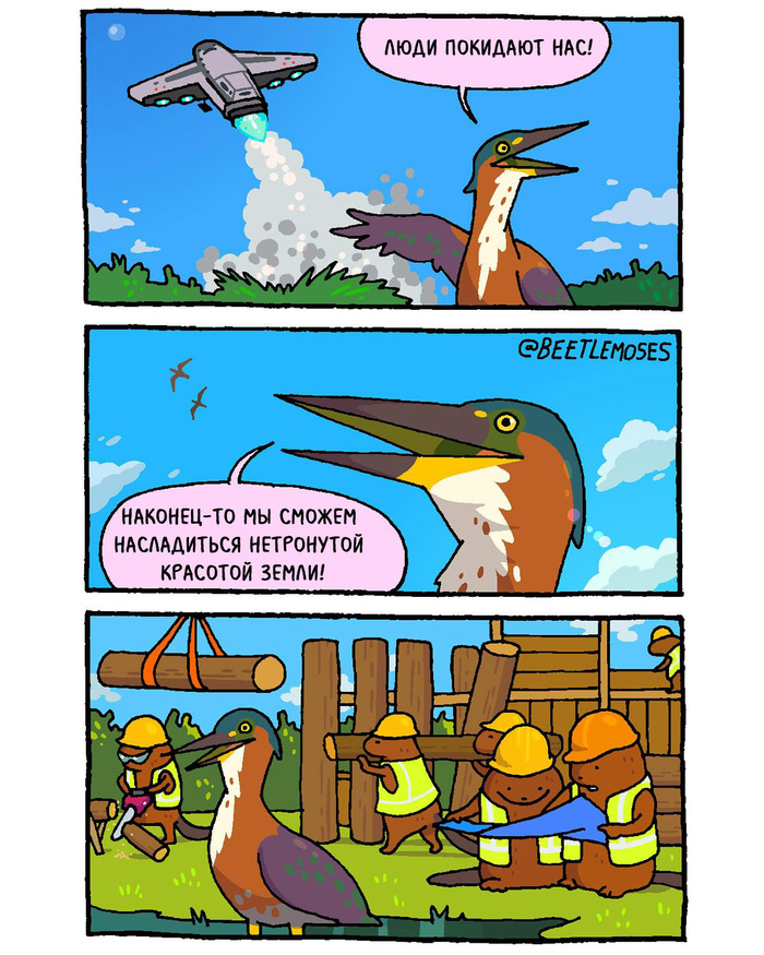 ����� �������� ����������� - �������� ����� ������