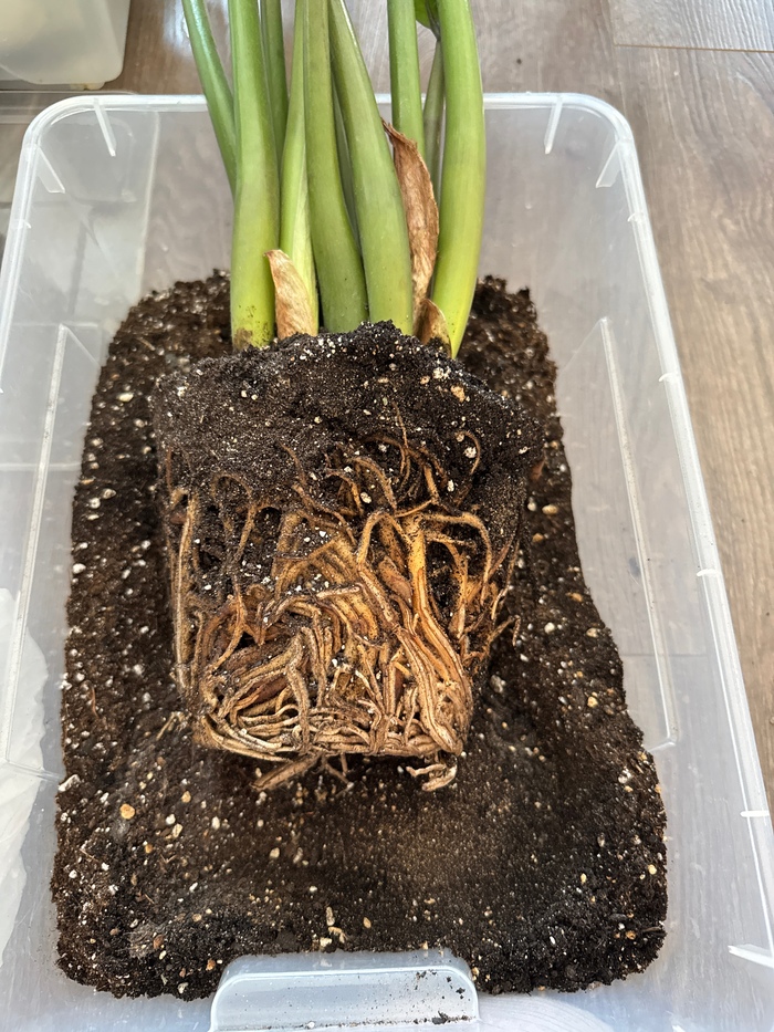 ��� � ����� ���� ��� ������������. ��� ����� ���������. ����� ������� �������� ��� �������