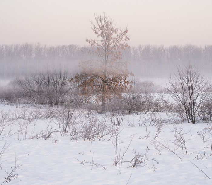 ��� ���� ��������� ������