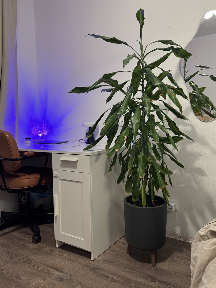 ����������������� �������, ������� ����� ���� ������ ��������� ����