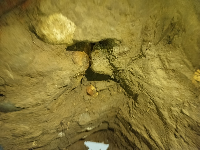 ���� ������ � ������ ����������