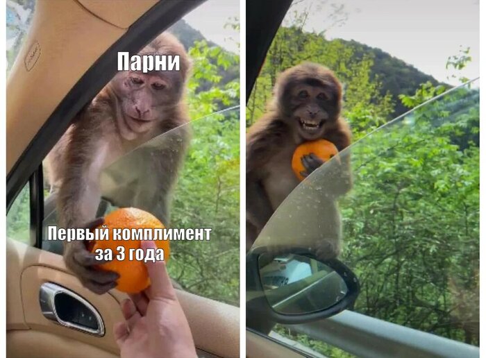 �� ��� ������