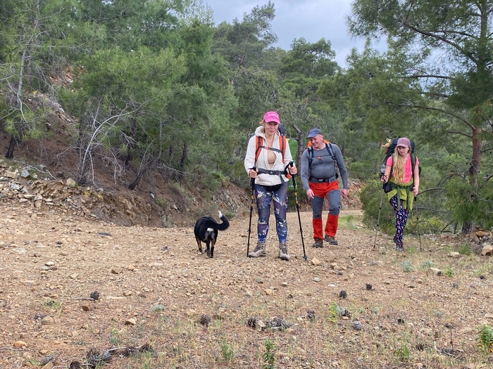 ������� ����� ����