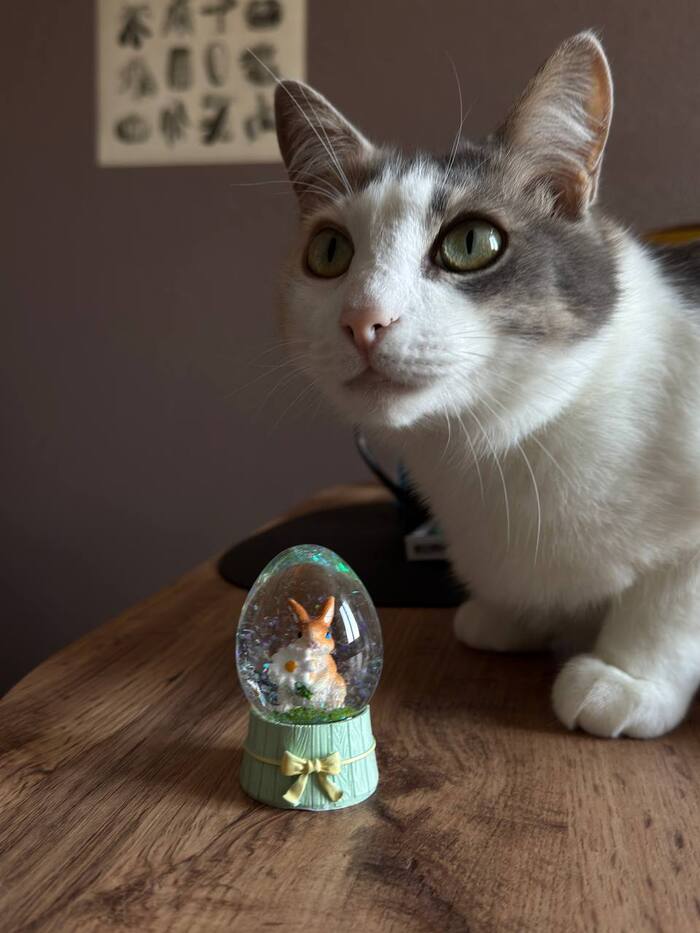 �������� �������, ��