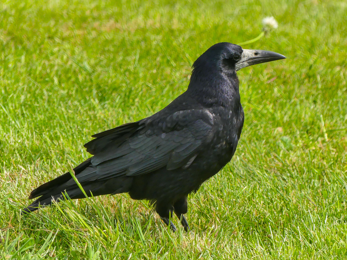 ����� �� ���� ����� ��� ��� ��� ����� ������:�