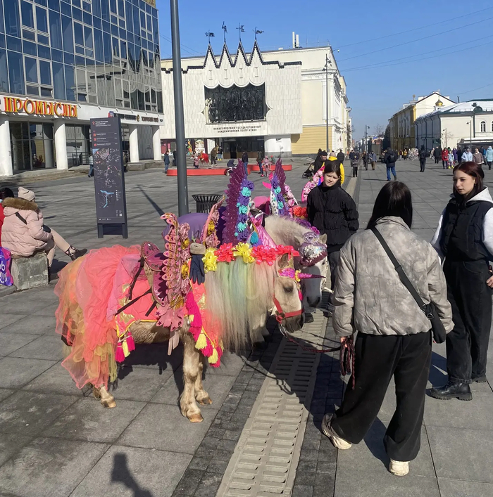 ��������� � ������ ���������