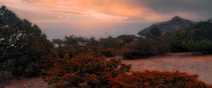 �������� �� ��� ������.