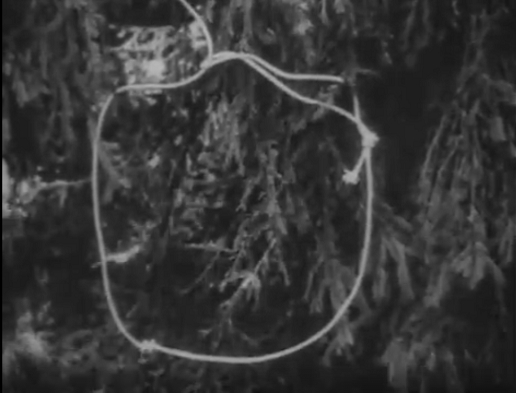 "������" �������� ������ ������. ������� � ���� ��� "����". "������"... ����� � ������ ��������?