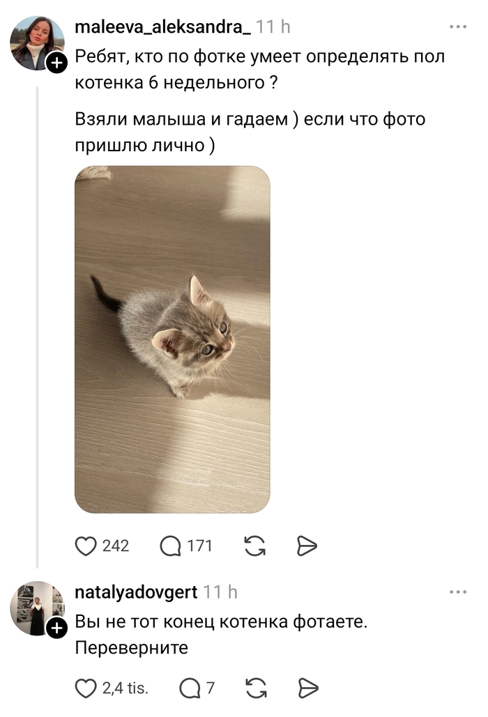 ����� ������� ������