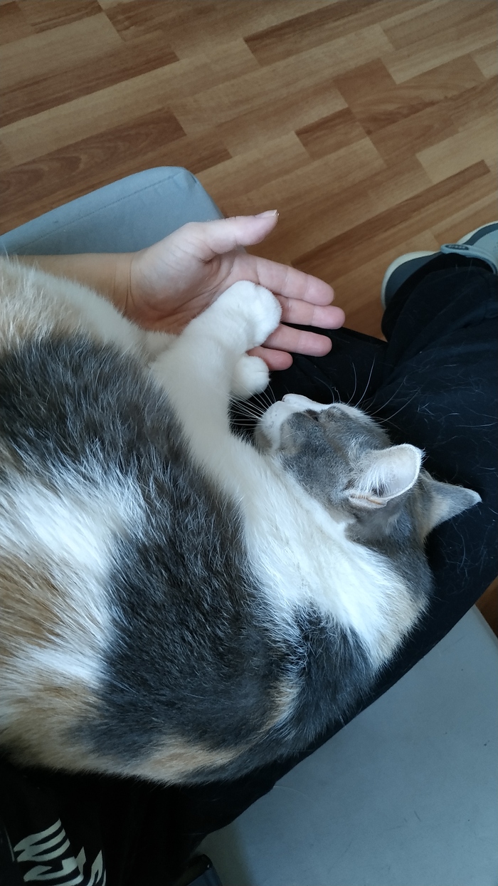 ��������, ��� ����� �����, ��� �� ������� ������� � ���������