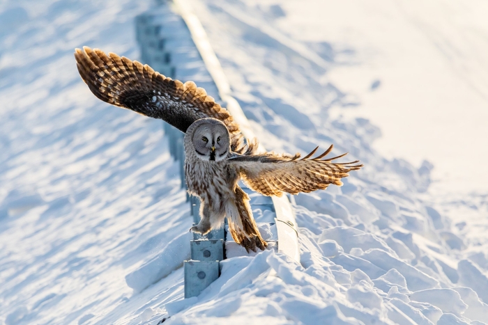 ��, �������� �� ����! ����� ��� �!