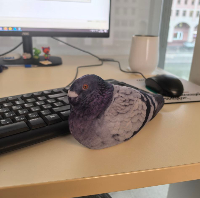 ����������