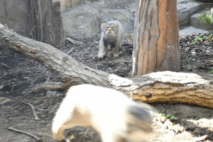 ���� ����